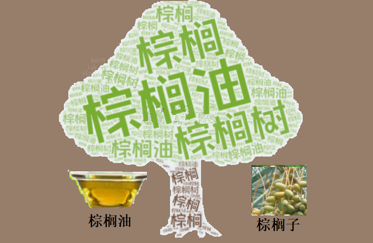 【GMI官网】棕榈油周线终结三连阴,但MACD尚未金叉,追多风险大吗?